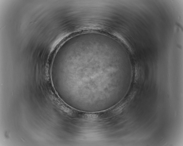 X0000103250878200808281501