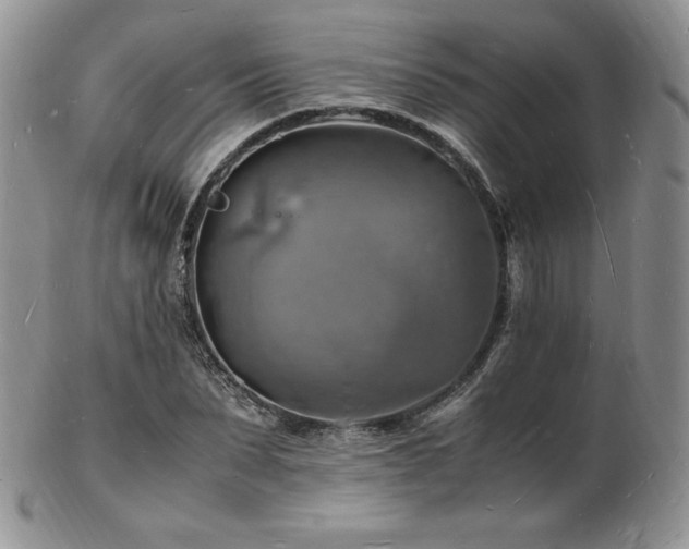 X0000103250879200808281501