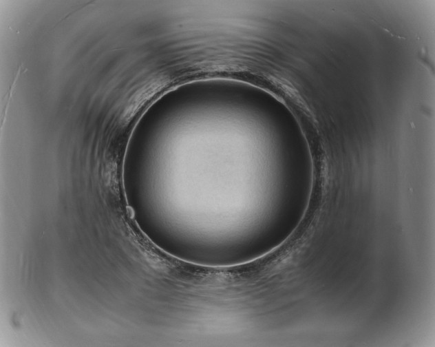 X0000103250881200808281501