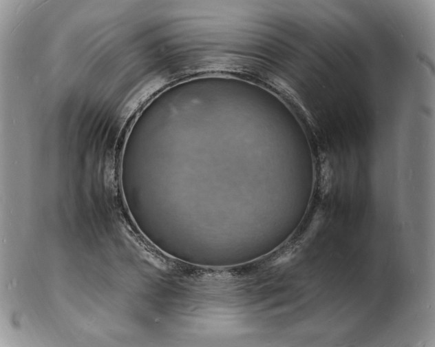 X0000103250882200808281501