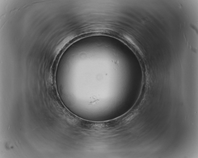 X0000103250883200808281501