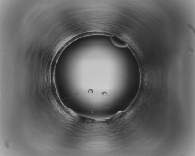 X0000103250884200808281501
