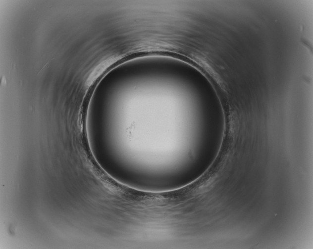 X0000103250885200808281501