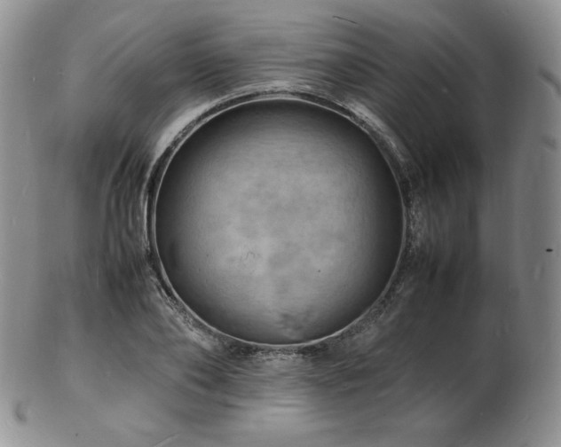 X0000103250886200808281501