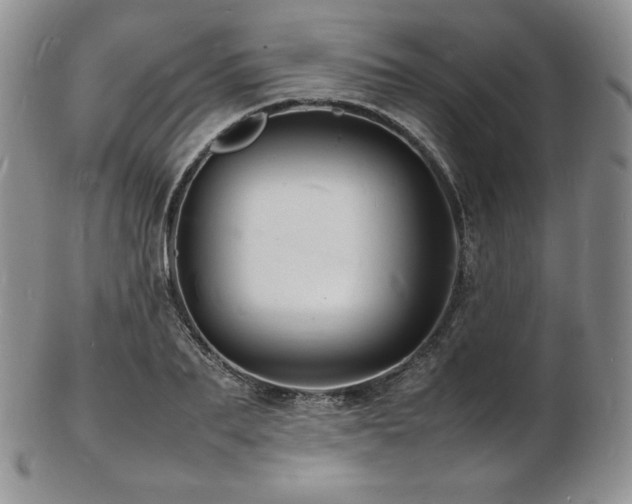X0000103250887200808281501