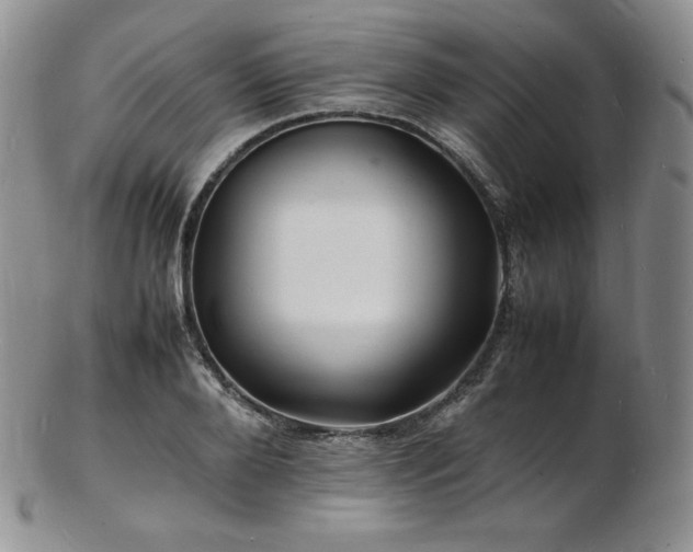 X0000103250888200808281501