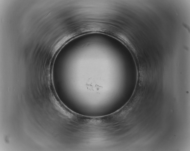 X0000103250890200808281501