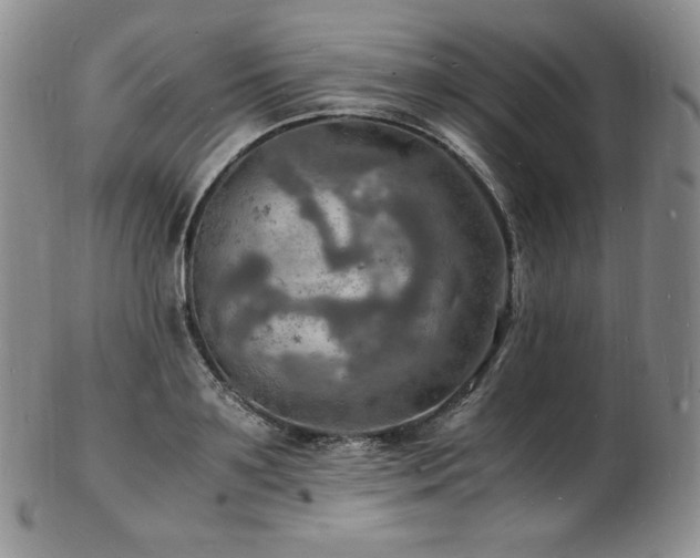 X0000103250891200808281501