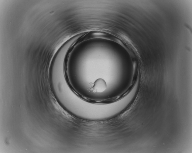 X0000103250892200808281501
