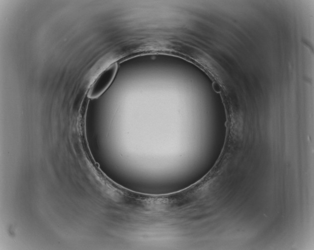 X0000103250893200808281501