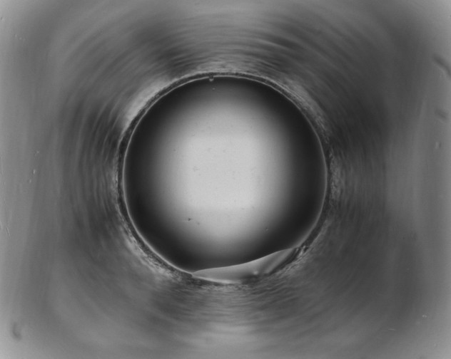 X0000103250896200808281501