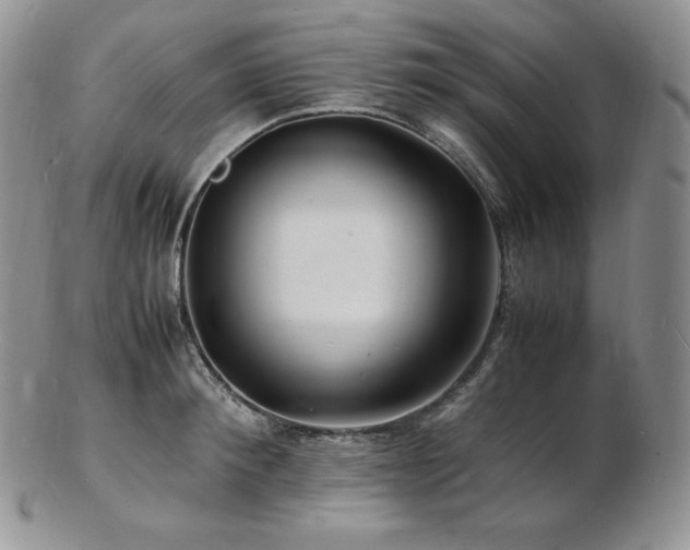 X0000103250900200808281501