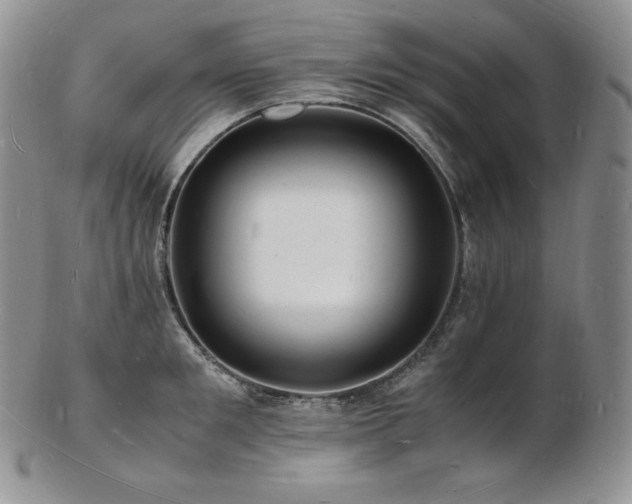 X0000103250901200808281501