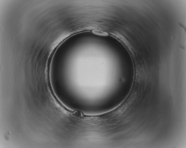 X0000103250902200808281501