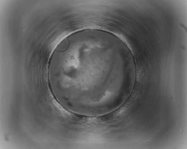 X0000103250903200808281501