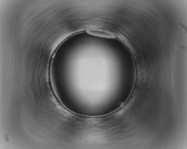 X0000103250904200808281501