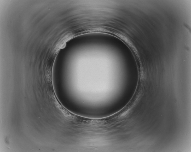X0000103250905200808281501
