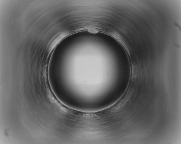 X0000103250906200808281501