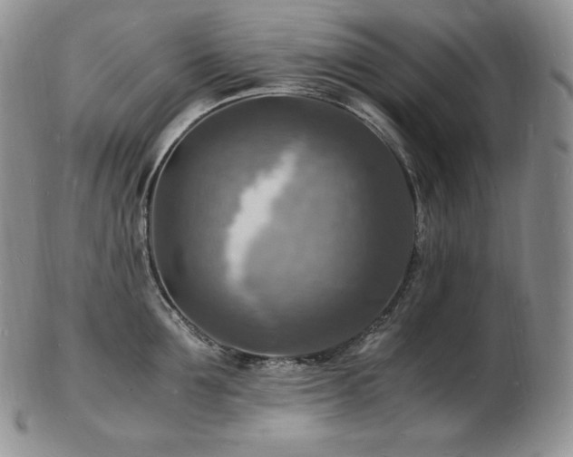 X0000103250907200808281501