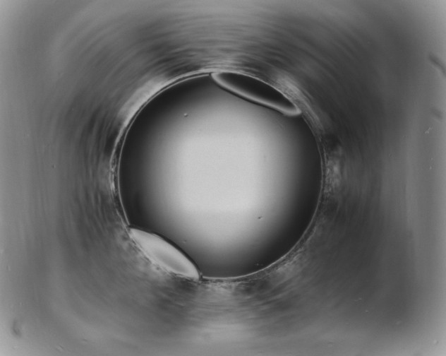 X0000103250908200808281501