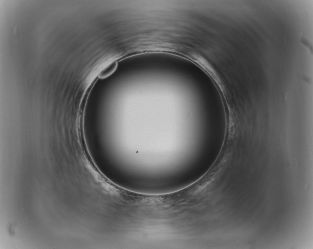 X0000103250909200808281501