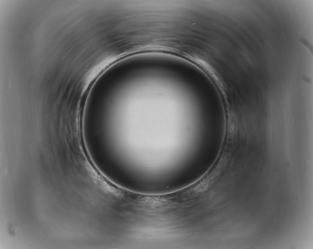 X0000103250910200808281501