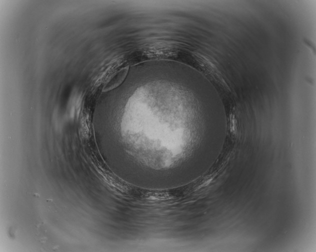 X0000103250915200808281500