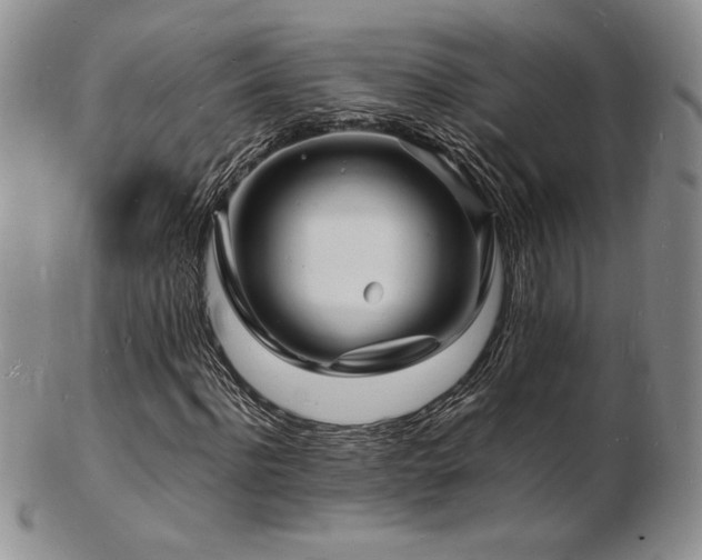 X0000103250916200808281500