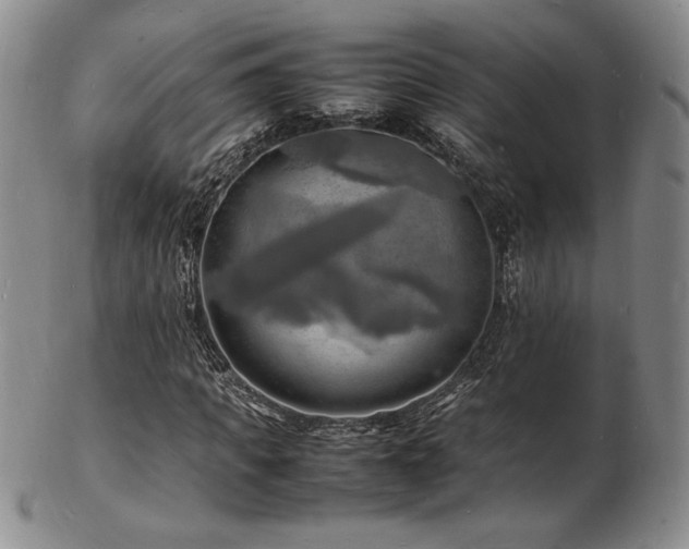 X0000103250917200808281500