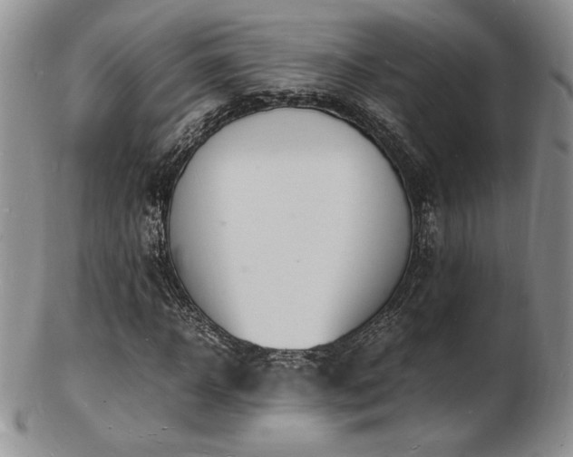 X0000103250918200808281500