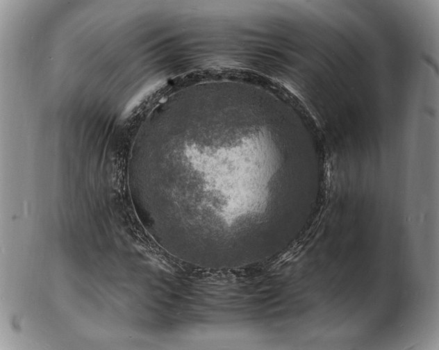 X0000103250919200808281500