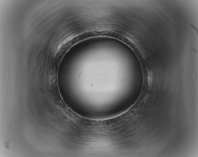 X0000103250920200808281500
