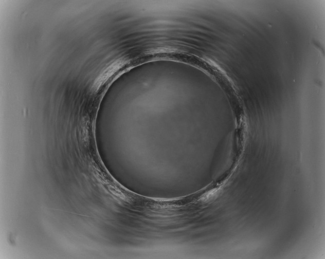 X0000103250921200808281500