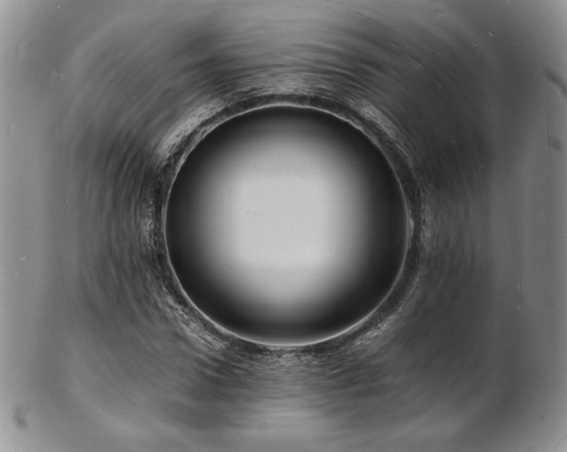 X0000103250922200808281500