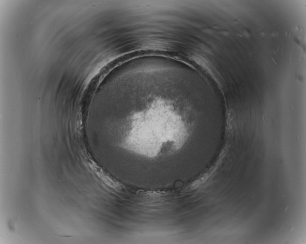X0000103250923200808281500