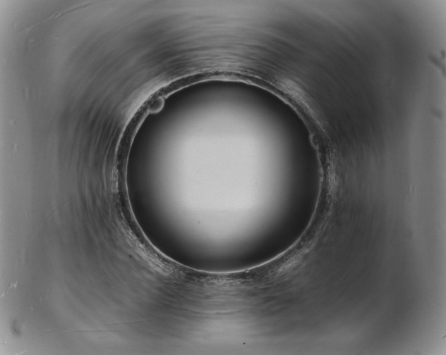 X0000103250924200808281500