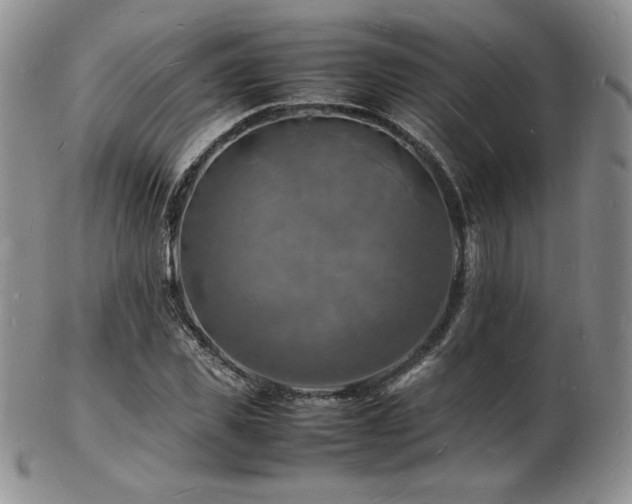 X0000103250925200808281500