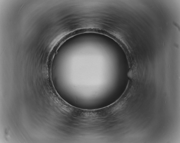 X0000103250927200808281500