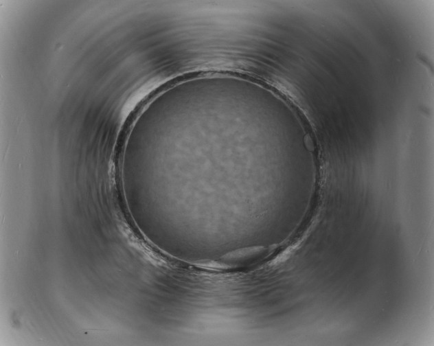 X0000103250928200808281500