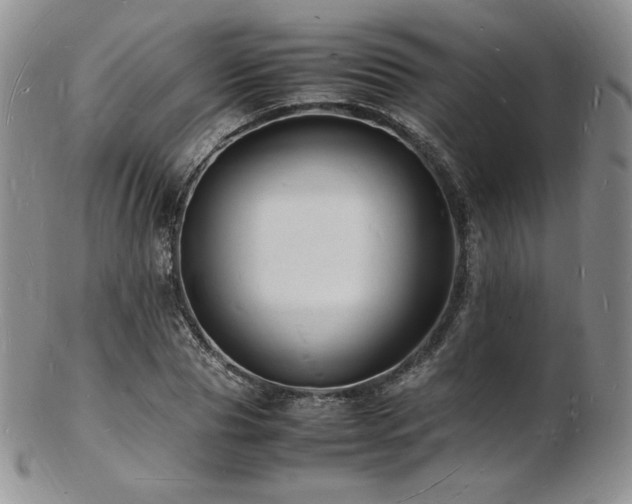 X0000103250929200808281500