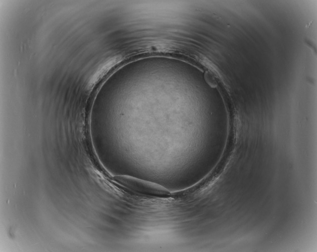 X0000103250930200808281500