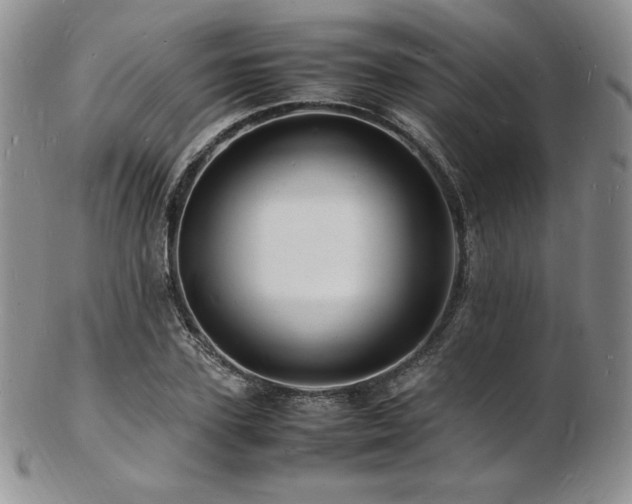 X0000103250931200808281500