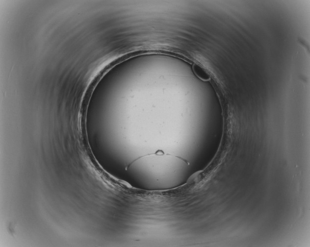 X0000103250932200808281500