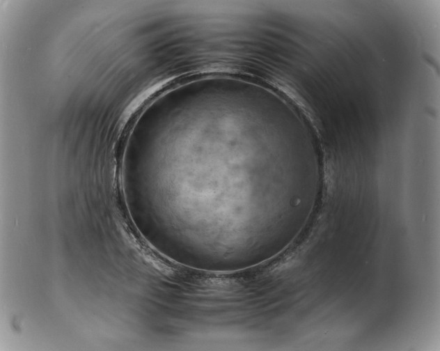 X0000103250933200808281500