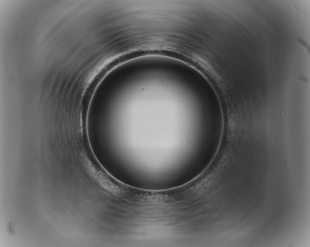 X0000103250934200808281500