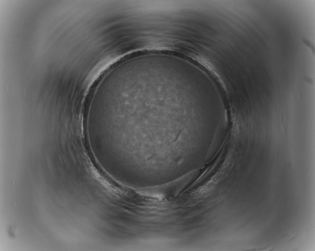 X0000103250935200808281500