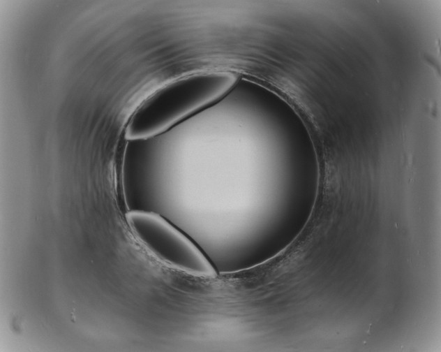 X0000103250936200808281500