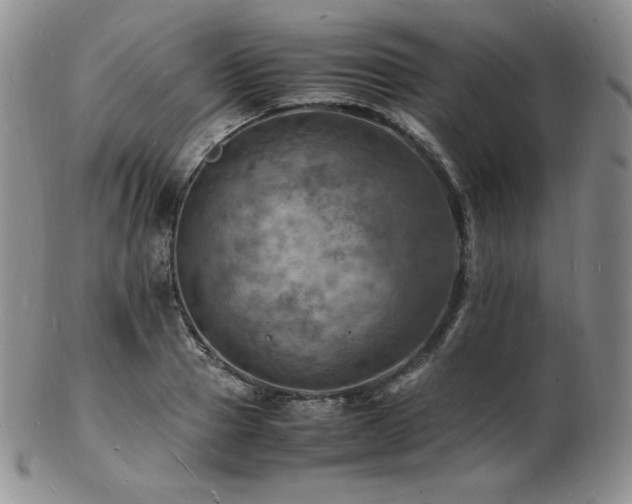 X0000103250937200808281500