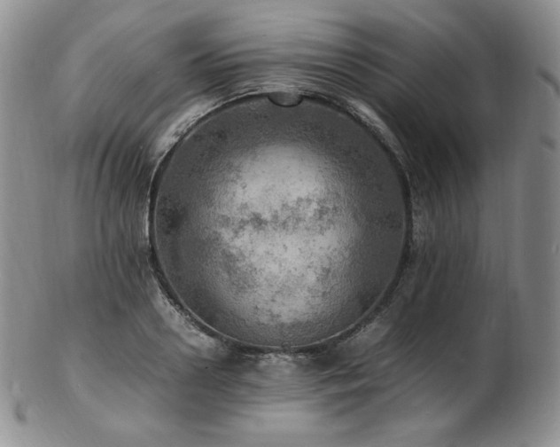 X0000103250938200808281500
