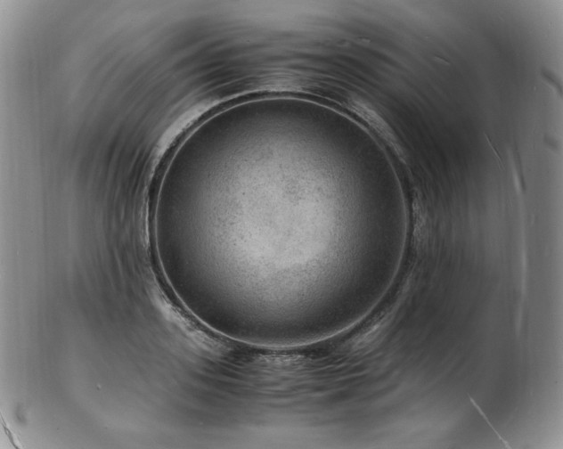 X0000103250939200808281500